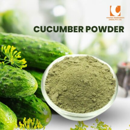 Cucumber Powder